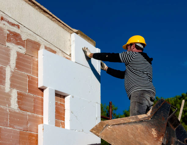 Best Residential Insulation in Floris, VA