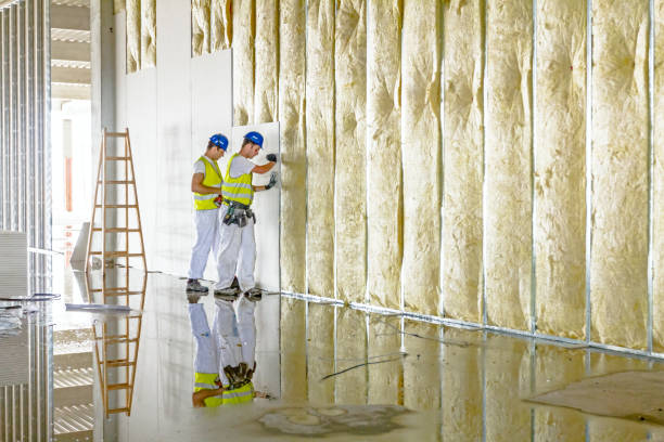 Best Commercial Insulation in Floris, VA
